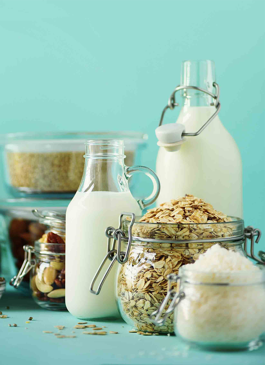 Dairy Ingredients